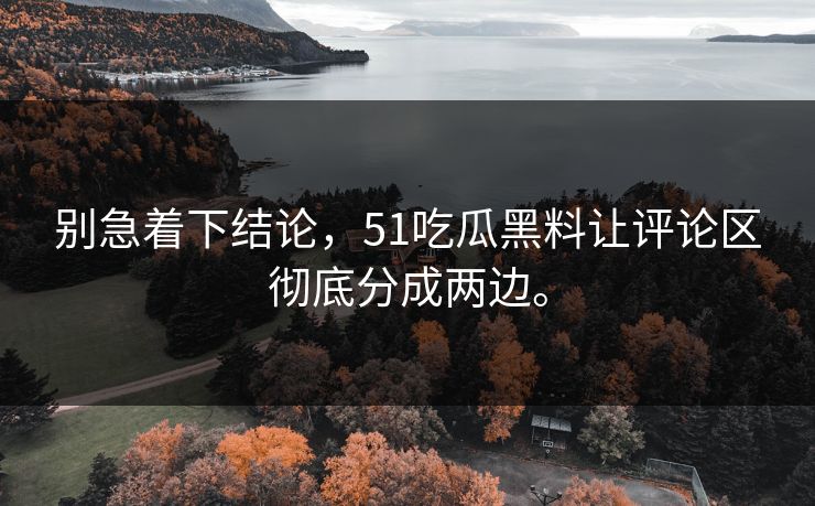 别急着下结论，51吃瓜黑料让评论区彻底分成两边。
