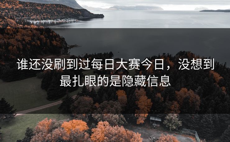 谁还没刷到过每日大赛今日，没想到最扎眼的是隐藏信息  第1张