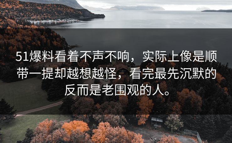 51爆料看着不声不响，实际上像是顺带一提却越想越怪，看完最先沉默的反而是老围观的人。