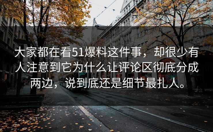 大家都在看51爆料这件事，却很少有人注意到它为什么让评论区彻底分成两边，说到底还是细节最扎人。