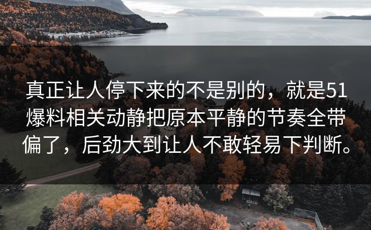 真正让人停下来的不是别的，就是51爆料相关动静把原本平静的节奏全带偏了，后劲大到让人不敢轻易下判断。